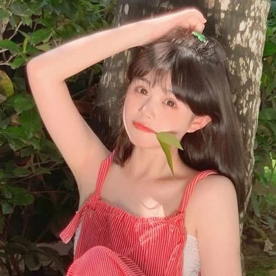 破阵无双最新破解版下载